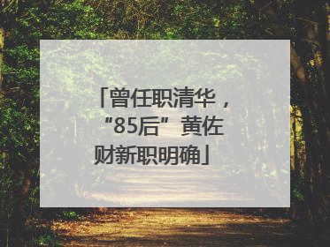 曾任职清华，“85后”黄佐财新职明确