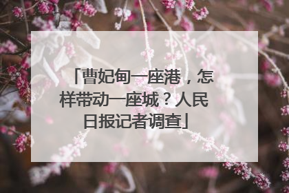 曹妃甸一座港，怎样带动一座城？人民日报记者调查