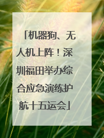 机器狗、无人机上阵！深圳福田举办综合应急演练护航十五运会