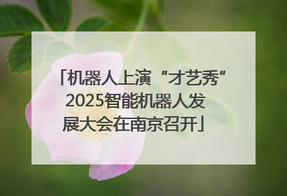 机器人上演“才艺秀” 2025智能机器人发展大会在南京召开