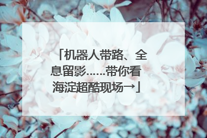 机器人带路、全息留影……带你看海淀超酷现场→