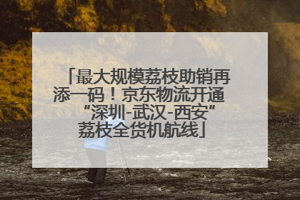 最大规模荔枝助销再添一码！京东物流开通“深圳-武汉-西安” 荔枝全货机航线