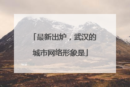 最新出炉，武汉的城市网络形象是