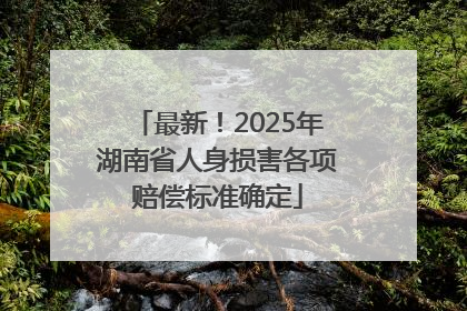 最新！2025年湖南省人身损害各项赔偿标准确定