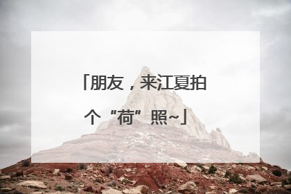 朋友，来江夏拍个“荷”照~
