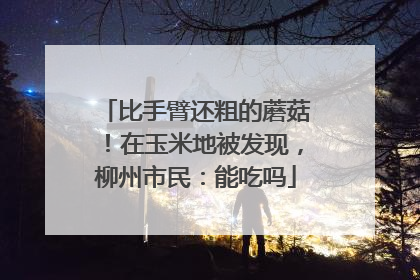 比手臂还粗的蘑菇！在玉米地被发现，柳州市民：能吃吗
