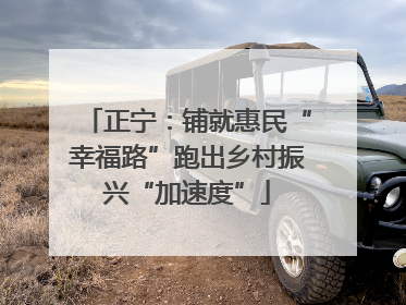 正宁：铺就惠民“幸福路”跑出乡村振兴“加速度”
