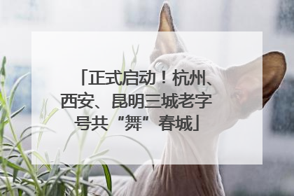 正式启动！杭州、西安、昆明三城老字号共“舞”春城