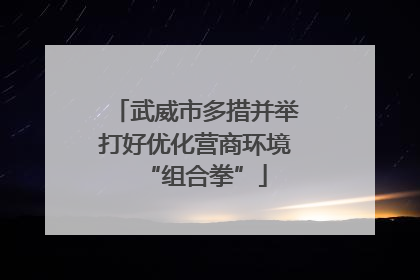 武威市多措并举打好优化营商环境“组合拳”