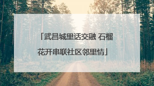 武昌城里话交融 石榴花开串联社区邻里情