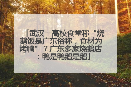 武汉一高校食堂称“烧鹅饭是广东俗称，食材为烤鸭”？广东多家烧鹅店：鸭是鸭鹅是鹅
