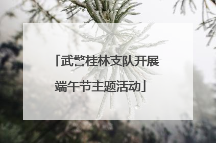 武警桂林支队开展端午节主题活动