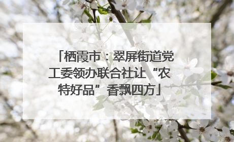 栖霞市：翠屏街道党工委领办联合社让“农特好品”香飘四方