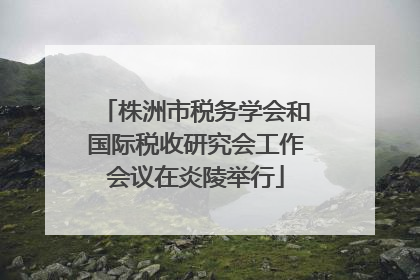 株洲市税务学会和国际税收研究会工作会议在炎陵举行