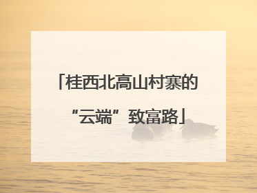 桂西北高山村寨的“云端”致富路
