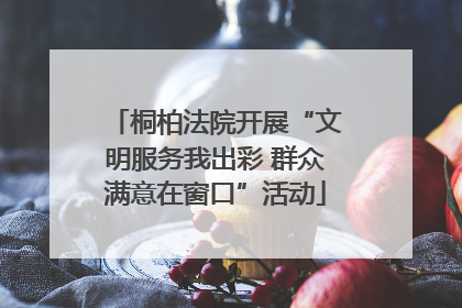 桐柏法院开展“文明服务我出彩 群众满意在窗口”活动