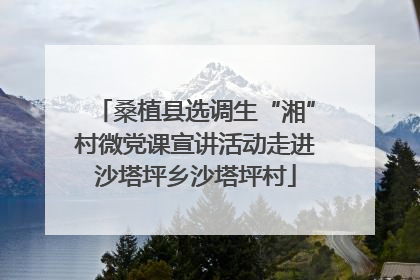 桑植县选调生“湘”村微党课宣讲活动走进沙塔坪乡沙塔坪村