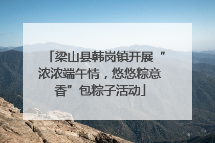 梁山县韩岗镇开展“浓浓端午情，悠悠粽意香”包粽子活动