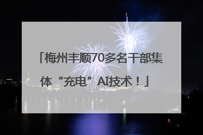 梅州丰顺70多名干部集体“充电”AI技术！