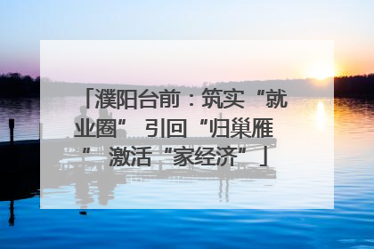 濮阳台前：筑实“就业圈” 引回“归巢雁” 激活“家经济”