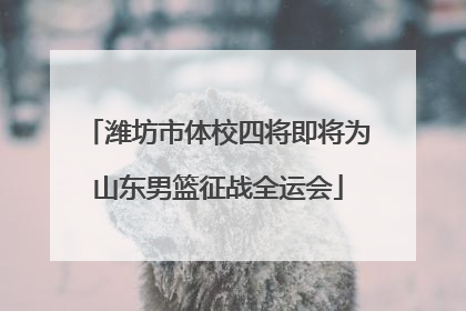 潍坊市体校四将即将为山东男篮征战全运会