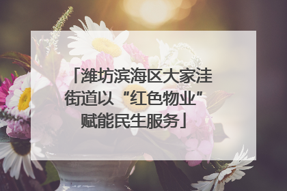 潍坊滨海区大家洼街道以“红色物业”赋能民生服务