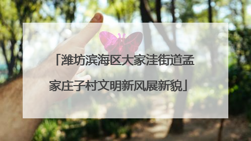 潍坊滨海区大家洼街道孟家庄子村文明新风展新貌