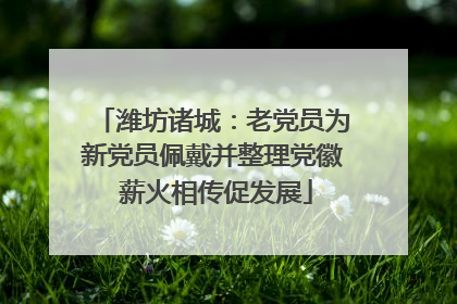 潍坊诸城：老党员为新党员佩戴并整理党徽 薪火相传促发展