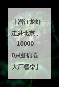 潜江龙虾走进北京，100000只虾席卷大厂餐桌
