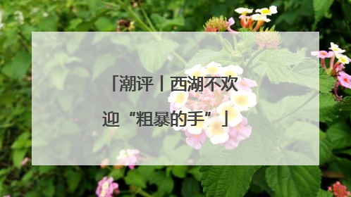 潮评丨西湖不欢迎“粗暴的手”