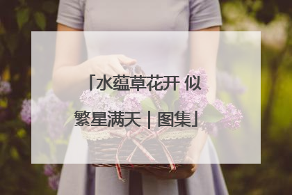 水蕴草花开 似繁星满天｜图集