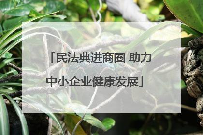 民法典进商圈 助力中小企业健康发展