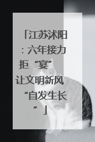 江苏沭阳：六年接力拒“宴” 让文明新风“自发生长”