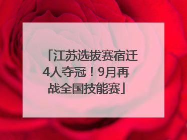 江苏选拔赛宿迁4人夺冠！9月再战全国技能赛