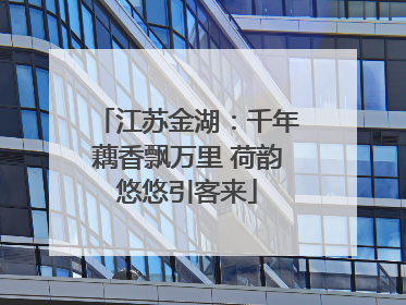 江苏金湖：千年藕香飘万里 荷韵悠悠引客来
