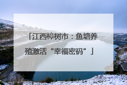 江西樟树市：鱼塘养殖激活“幸福密码”