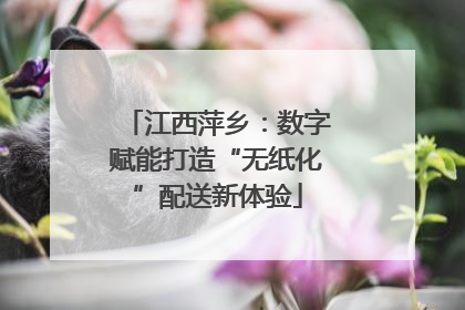 江西萍乡：数字赋能打造“无纸化”配送新体验