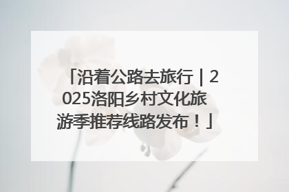 沿着公路去旅行｜2025洛阳乡村文化旅游季推荐线路发布！