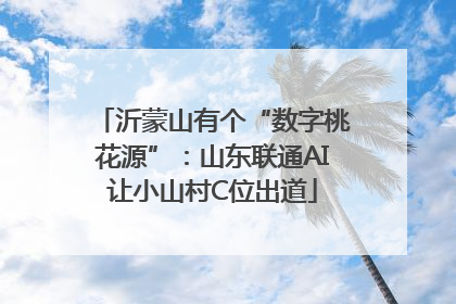 沂蒙山有个“数字桃花源”：山东联通AI让小山村C位出道