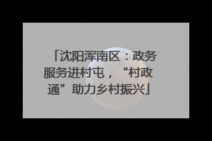 沈阳浑南区：政务服务进村屯，“村政通”助力乡村振兴