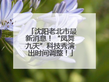 沈阳老北市最新消息！“凤舞九天”科技秀演出时间调整！