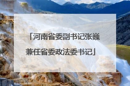 河南省委副书记张巍兼任省委政法委书记