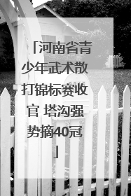 河南省青少年武术散打锦标赛收官 塔沟强势摘40冠