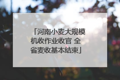 河南小麦大规模机收作业收官 全省麦收基本结束