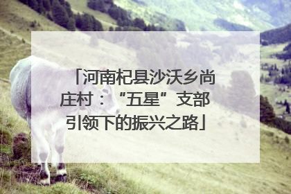 河南杞县沙沃乡尚庄村：“五星”支部引领下的振兴之路