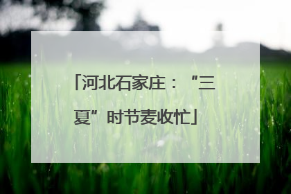 河北石家庄：“三夏”时节麦收忙