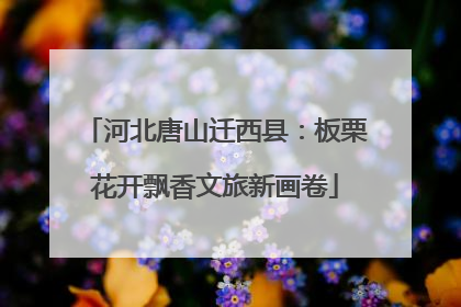 河北唐山迁西县：板栗花开飘香文旅新画卷