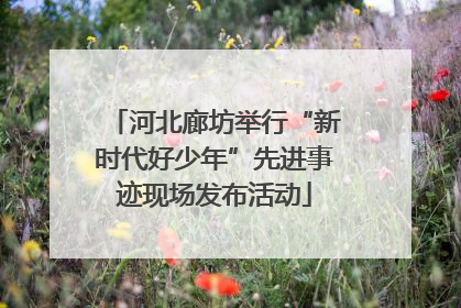 河北廊坊举行“新时代好少年”先进事迹现场发布活动