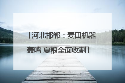 河北邯郸：麦田机器轰鸣 夏粮全面收割