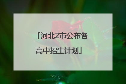 河北2市公布各高中招生计划